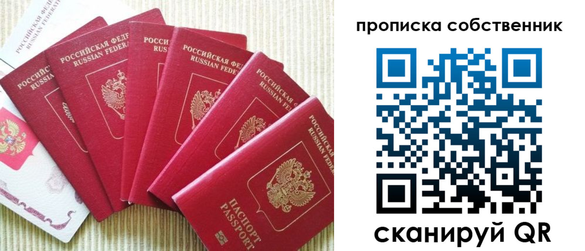 прописка в Павловске